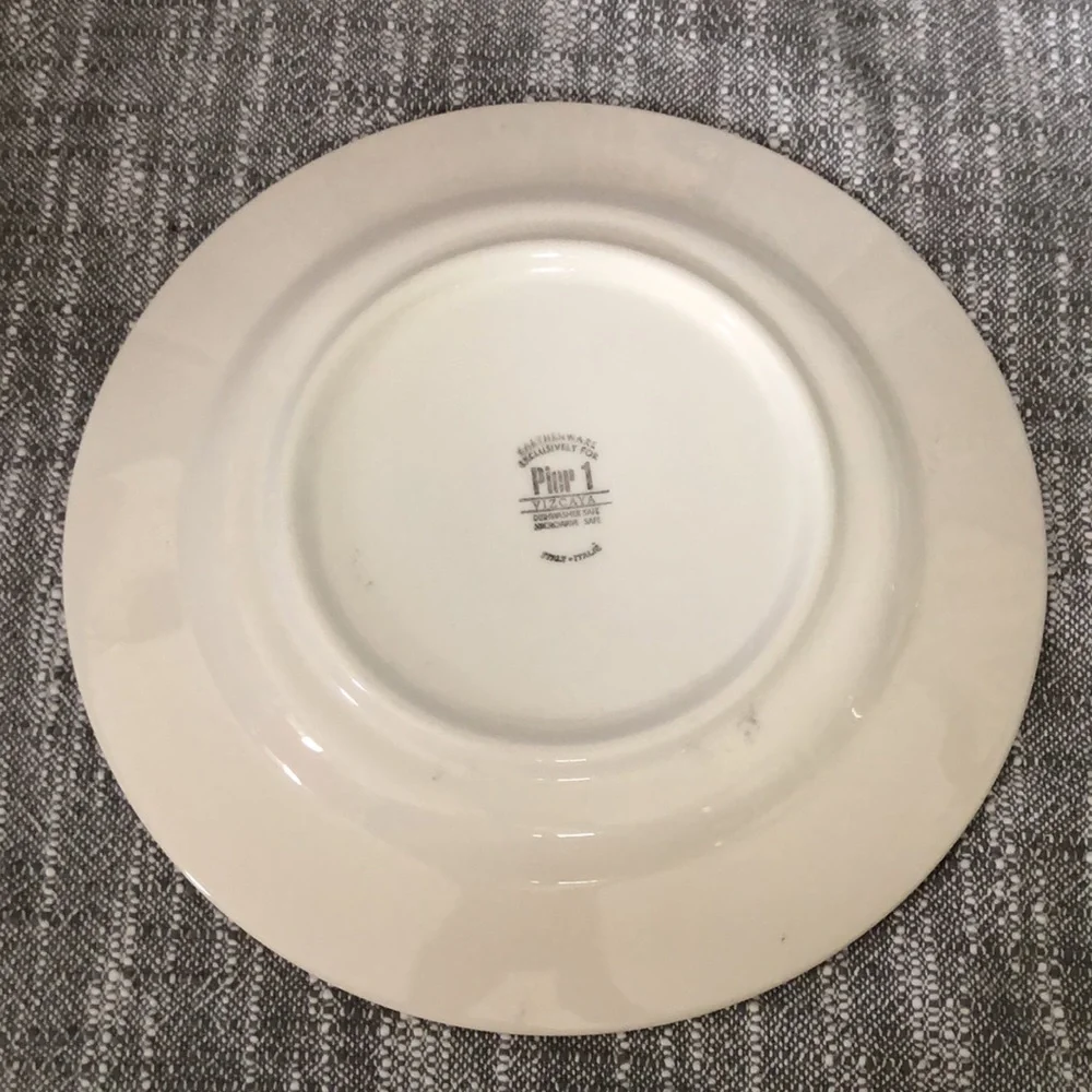 Set of 2 Pier 1 dinner plates. Perfect condition.